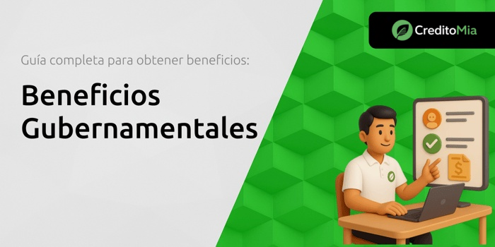 Guía Completa para Acceder a Ayudas del Gobierno